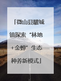 微山县驩城镇探索“林地+金蝉”生态种养新模式
