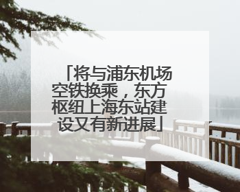 将与浦东机场空铁换乘，东方枢纽上海东站建设又有新进展