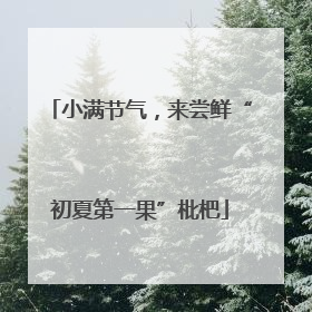 小满节气，来尝鲜“初夏第一果”枇杷