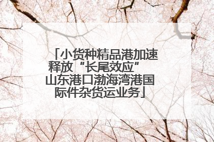 小货种精品港加速释放“长尾效应” 山东港口渤海湾港国际件杂货运业务