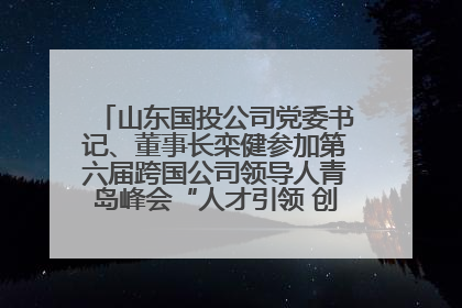 山东国投公司党委书记、董事长栾健参加第六届跨国公司领导人青岛峰会“人才引领 创新驱动”人力资源高质量发展对话会