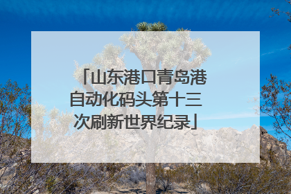 山东港口青岛港自动化码头第十三次刷新世界纪录