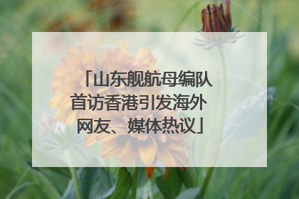 山东舰航母编队首访香港引发海外网友、媒体热议