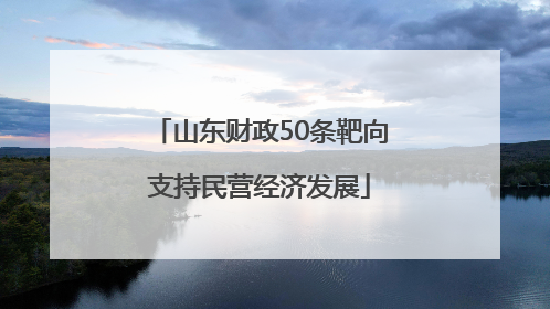 山东财政50条靶向支持民营经济发展