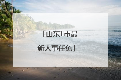 山东1市最新人事任免