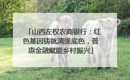 山西左权农商银行：红色基因铸就清廉底色，普惠金融赋能乡村振兴