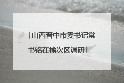 山西晋中市委书记常书铭在榆次区调研
