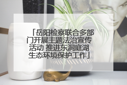 岳阳检察联合多部门开展主题法治宣传活动 推进东洞庭湖生态环境保护工作