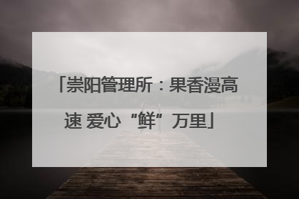 崇阳管理所：果香漫高速 爱心“鲜”万里
