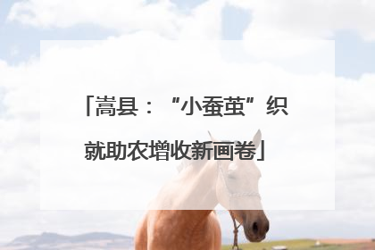 嵩县：“小蚕茧”织就助农增收新画卷