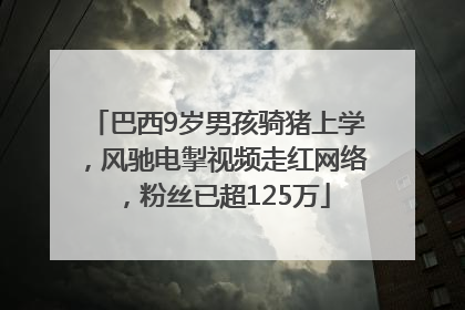 巴西9岁男孩骑猪上学，风驰电掣视频走红网络，粉丝已超125万