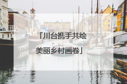 川台携手共绘美丽乡村画卷
