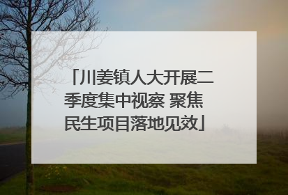 川姜镇人大开展二季度集中视察 聚焦民生项目落地见效