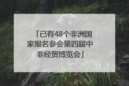 已有48个非洲国家报名参会第四届中非经贸博览会