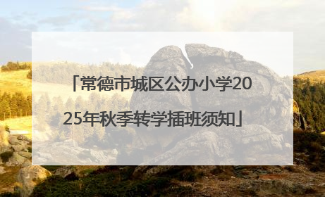 常德市城区公办小学2025年秋季转学插班须知