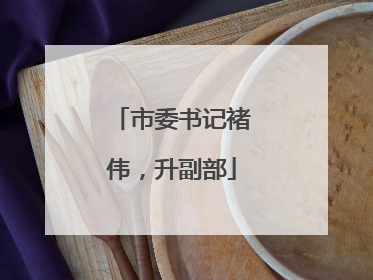 市委书记褚伟，升副部