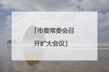 市委常委会召开扩大会议
