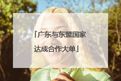 广东与东盟国家达成合作大单