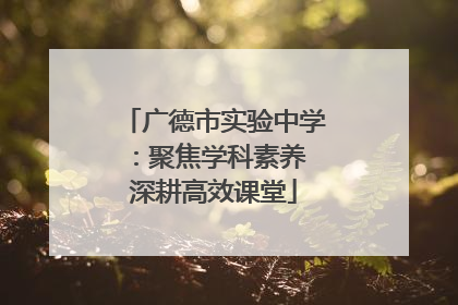 广德市实验中学：聚焦学科素养 深耕高效课堂