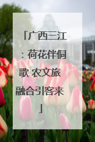 广西三江：荷花伴侗歌 农文旅融合引客来