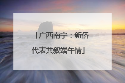 广西南宁：新侨代表共叙端午情