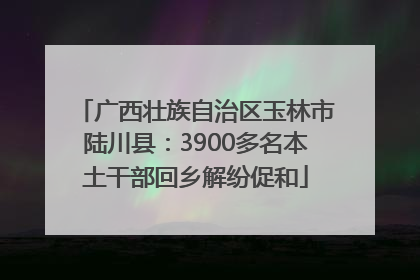 广西壮族自治区玉林市陆川县：3900多名本土干部回乡解纷促和