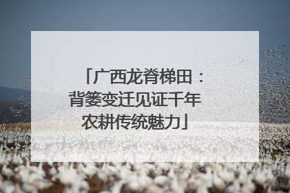 广西龙脊梯田：背篓变迁见证千年农耕传统魅力