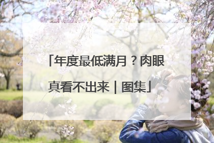年度最低满月？肉眼真看不出来｜图集