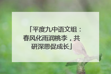平度九中语文组：春风化雨润桃李，共研深思促成长