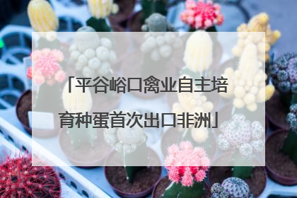 平谷峪口禽业自主培育种蛋首次出口非洲