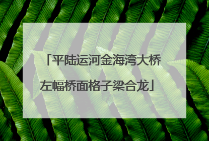 平陆运河金海湾大桥左幅桥面格子梁合龙
