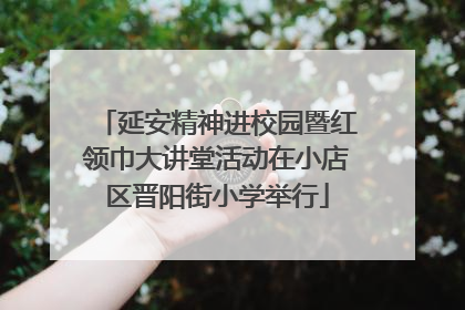 延安精神进校园暨红领巾大讲堂活动在小店区晋阳街小学举行