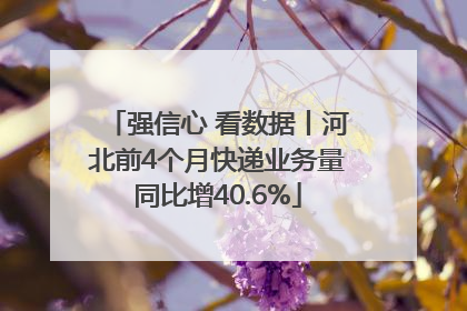 强信心 看数据丨河北前4个月快递业务量同比增40.6%
