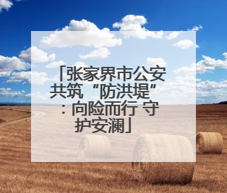 张家界市公安共筑“防洪堤”：向险而行 守护安澜