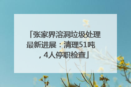 张家界溶洞垃圾处理最新进展：清理51吨，4人停职检查