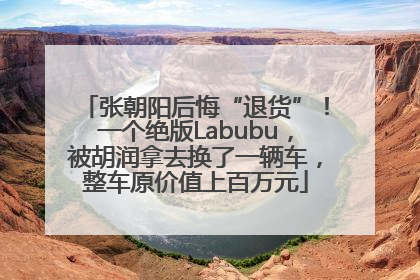 张朝阳后悔“退货”！一个绝版Labubu，被胡润拿去换了一辆车，整车原价值上百万元