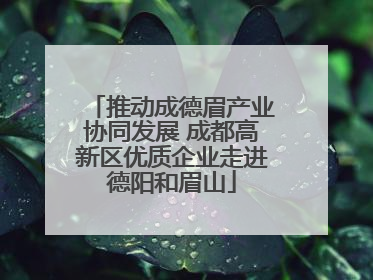 推动成德眉产业协同发展 成都高新区优质企业走进德阳和眉山