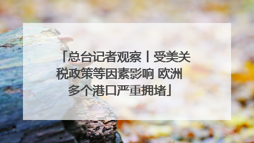 总台记者观察丨受美关税政策等因素影响 欧洲多个港口严重拥堵