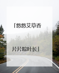 悠悠艾草香 片片粽叶长