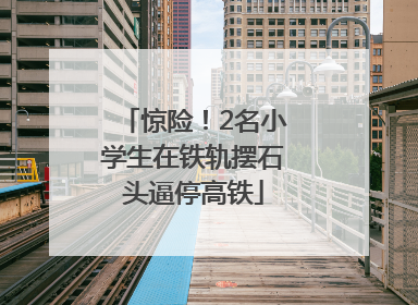 惊险！2名小学生在铁轨摆石头逼停高铁