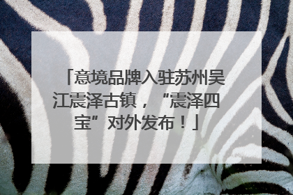 意境品牌入驻苏州吴江震泽古镇，“震泽四宝”对外发布！