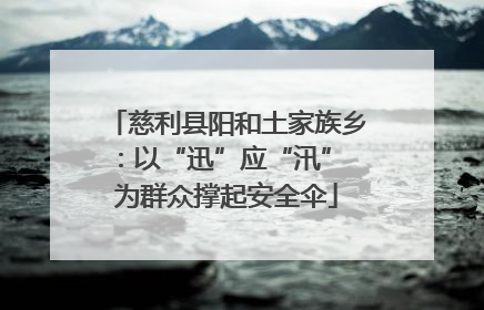 慈利县阳和土家族乡：以“迅”应“汛” 为群众撑起安全伞