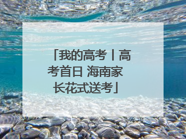 我的高考丨高考首日 海南家长花式送考