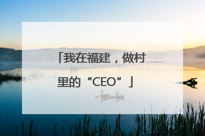 我在福建,做村里的“CEO”