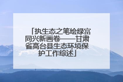 执生态之笔绘绿富同兴新画卷——甘肃省高台县生态环境保护工作综述