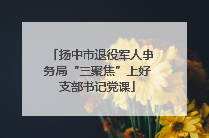 扬中市退役军人事务局“三聚焦”上好支部书记党课