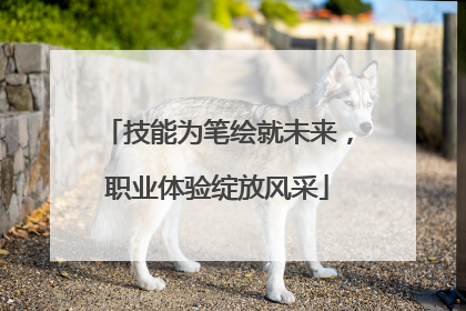 技能为笔绘就未来，职业体验绽放风采