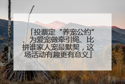 投票定“养宠公约”、为爱宠做牵引绳、比拼谁家人宠最默契，这场活动有趣更有意义
