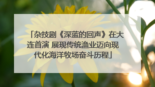 杂技剧《深蓝的回声》在大连首演 展现传统渔业迈向现代化海洋牧场奋斗历程