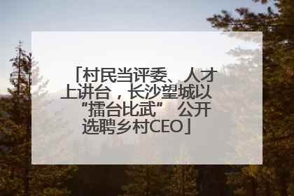 村民当评委、人才上讲台，长沙望城以“擂台比武” 公开选聘乡村CEO